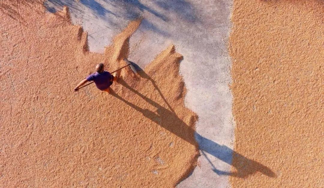 久违的家常饭,久违的包谷饭