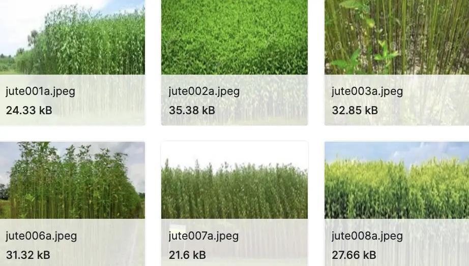 60+开源数据集资源大合集（医学图像、卫星图像、自动驾驶等）
