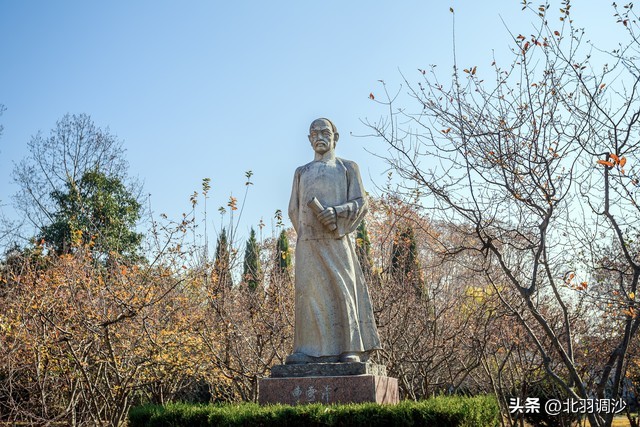 初学识谱歌谱大全,初学歌谱