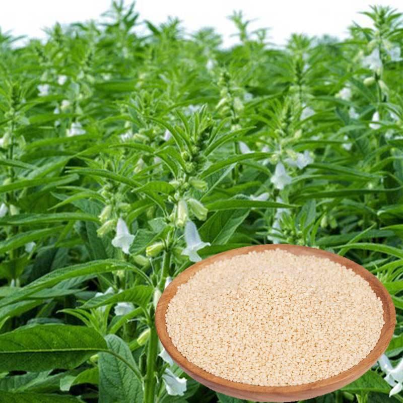 怎么辨别芝麻油和香精勾兑油,假红油和真红油区别