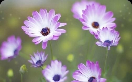 活着不要太当真人生感悟,人活着别明白太晚别活得太委屈