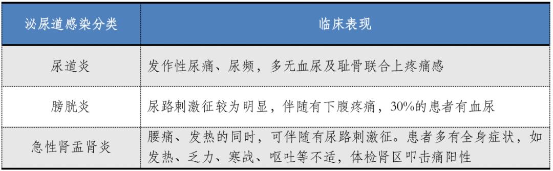 必看！泌尿道感染用药全解读