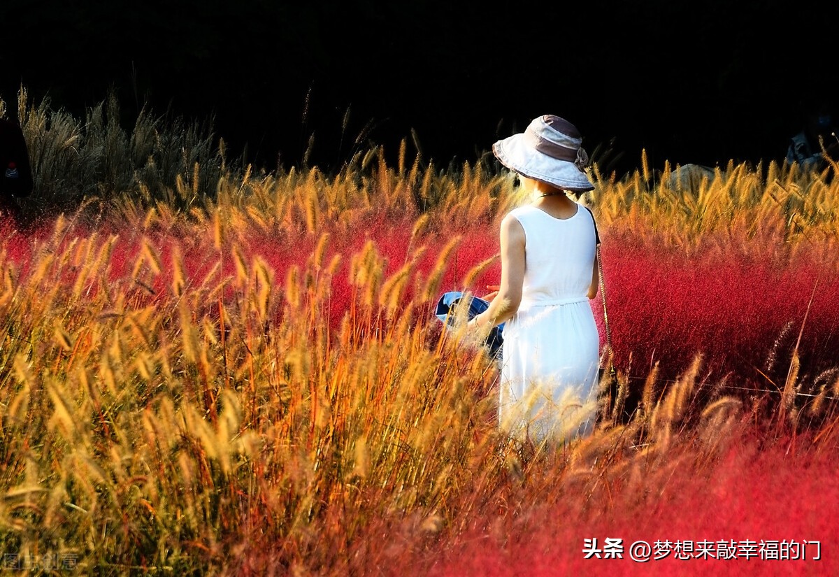 逆袭之爱上情敌大结局,父母爱情大结局