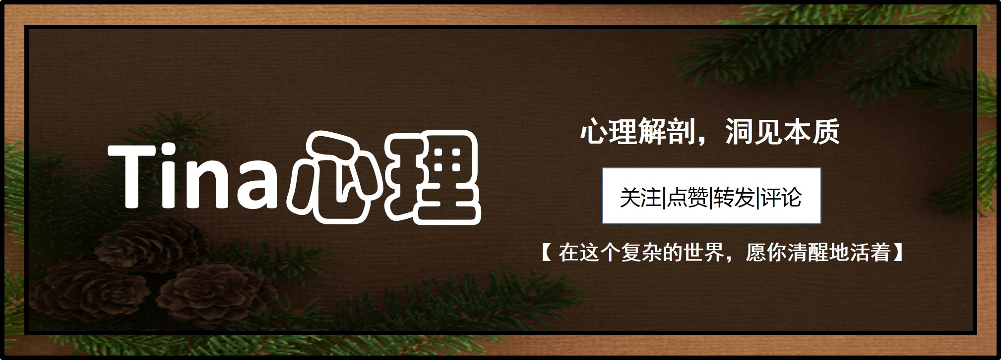 50本书推荐书单,逻辑混乱的书单