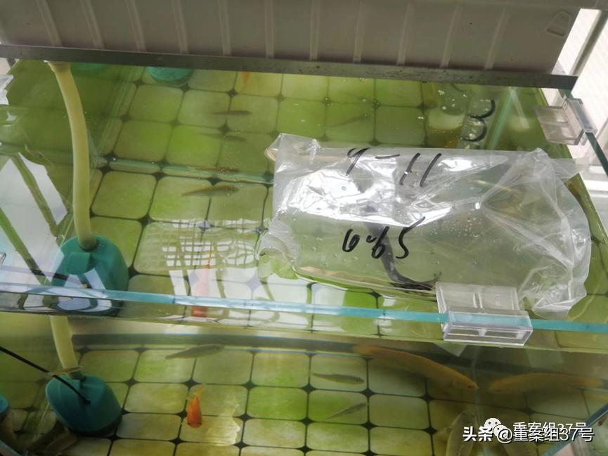 槌勯泙槌濊瀹氫负澶栨潵鐗╃,槌勯泙槌濊缃戝簵鎹㈠悕鍞崠