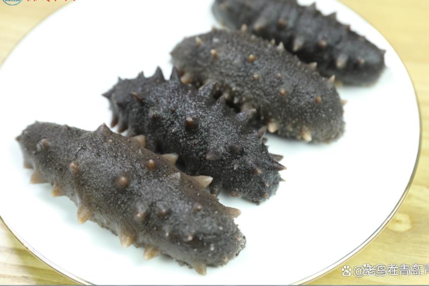 野生海参价格大概多少钱一斤,野生海参的价格多少一斤