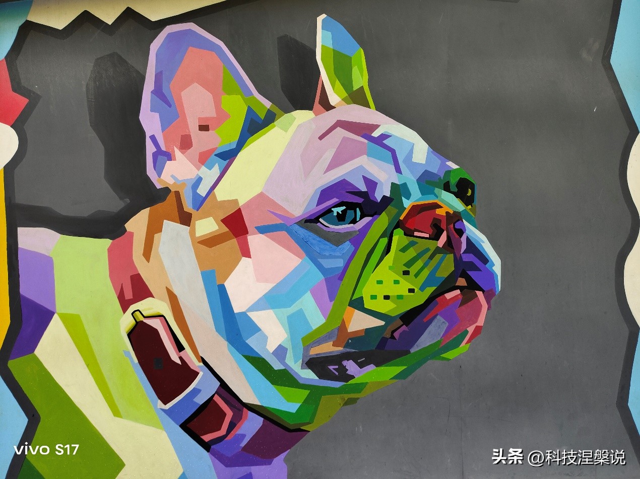 拍照好性价比高的手机vivos17,vivos17杭州市区颜值超高的手机