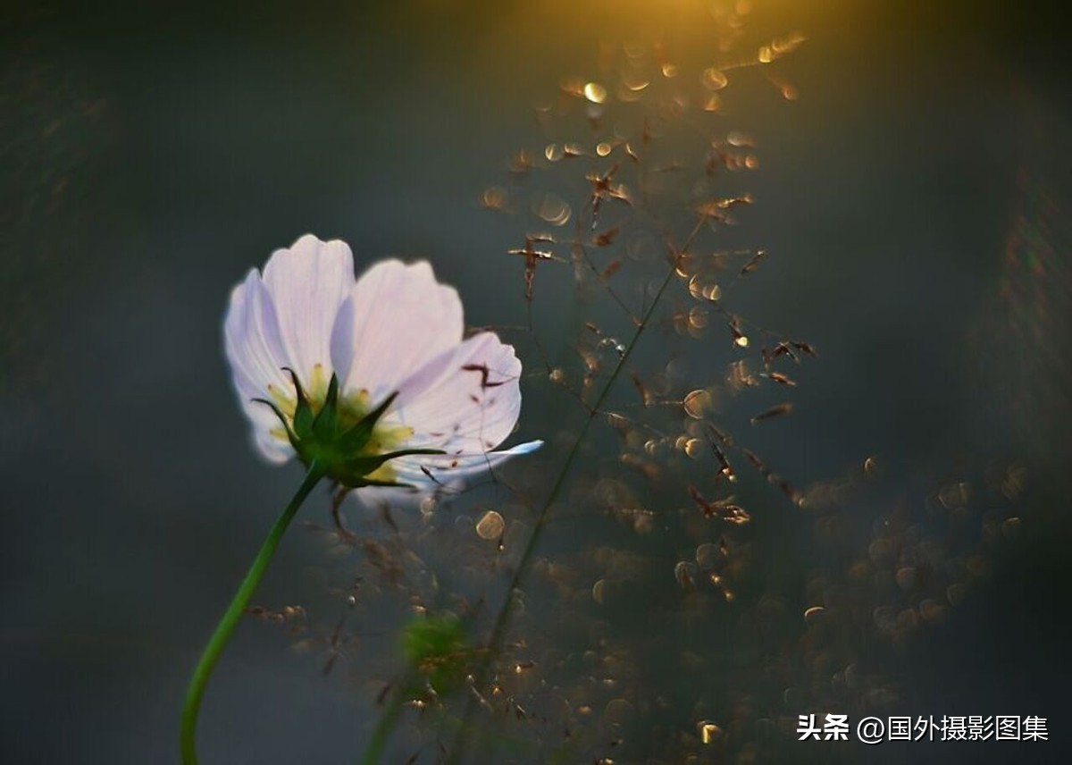 秋天最美大自然图片,春天最美的三十六张照片