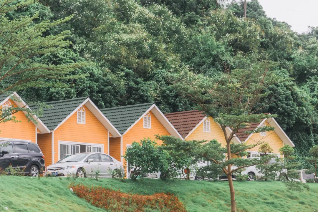 深圳小众好玩的景点排名榜,深圳小众海边旅游