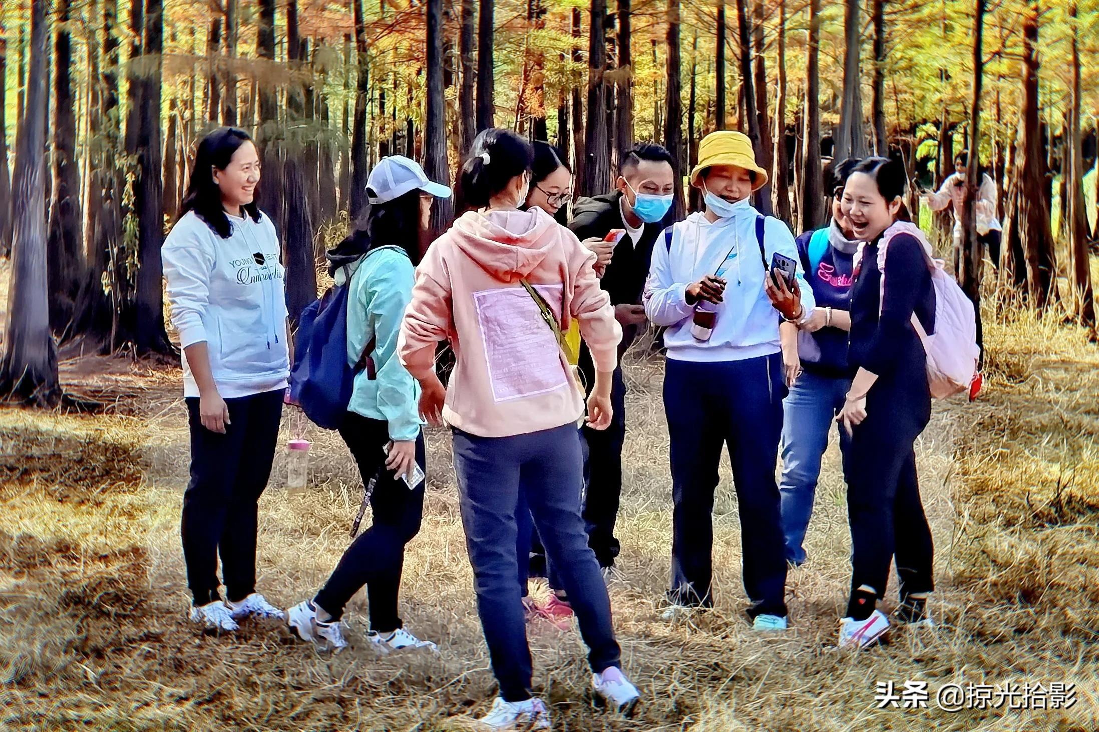 手机拍出清晰照片的20个技巧,手机小技巧怎么样拍出好照片