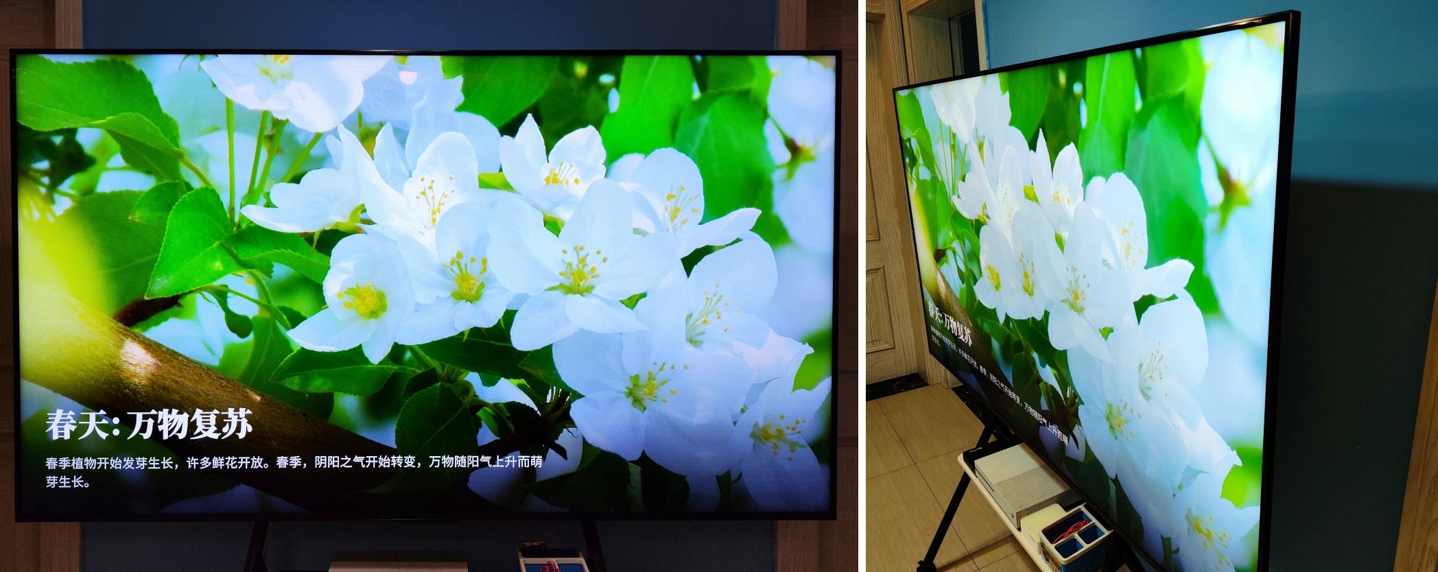 2022最值得买的miniled电视,2023年热销的tcl电视