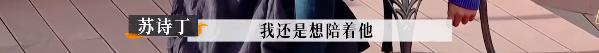 苏诗丁和卢歌再见爱人结局,再见爱人2苏诗丁和卢歌复合了吗