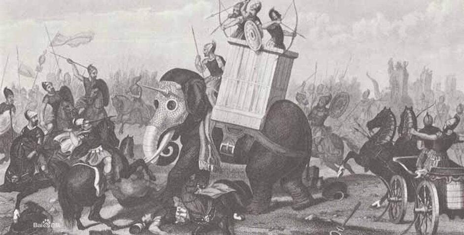 西双版纳珍稀动物图,西双版纳最后一头战象