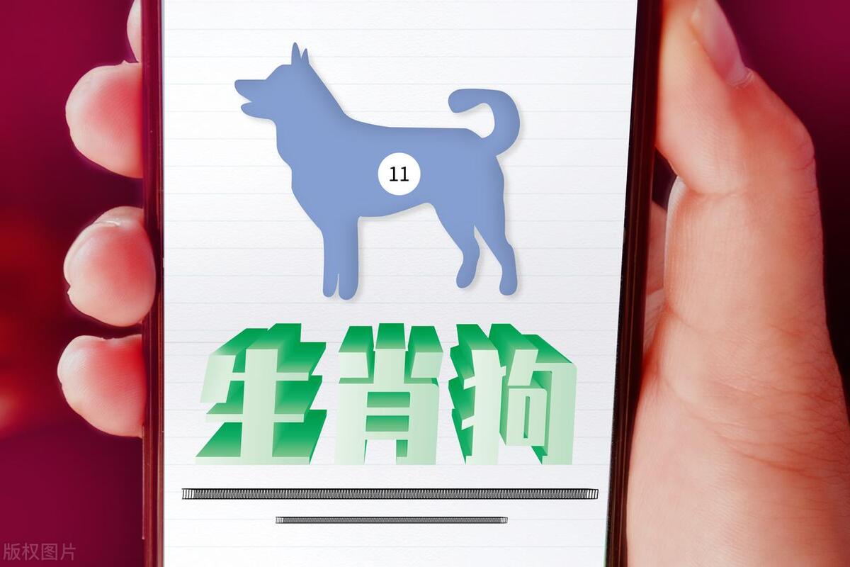 狗狗的爱情运势,狗狗明年桃花运好吗