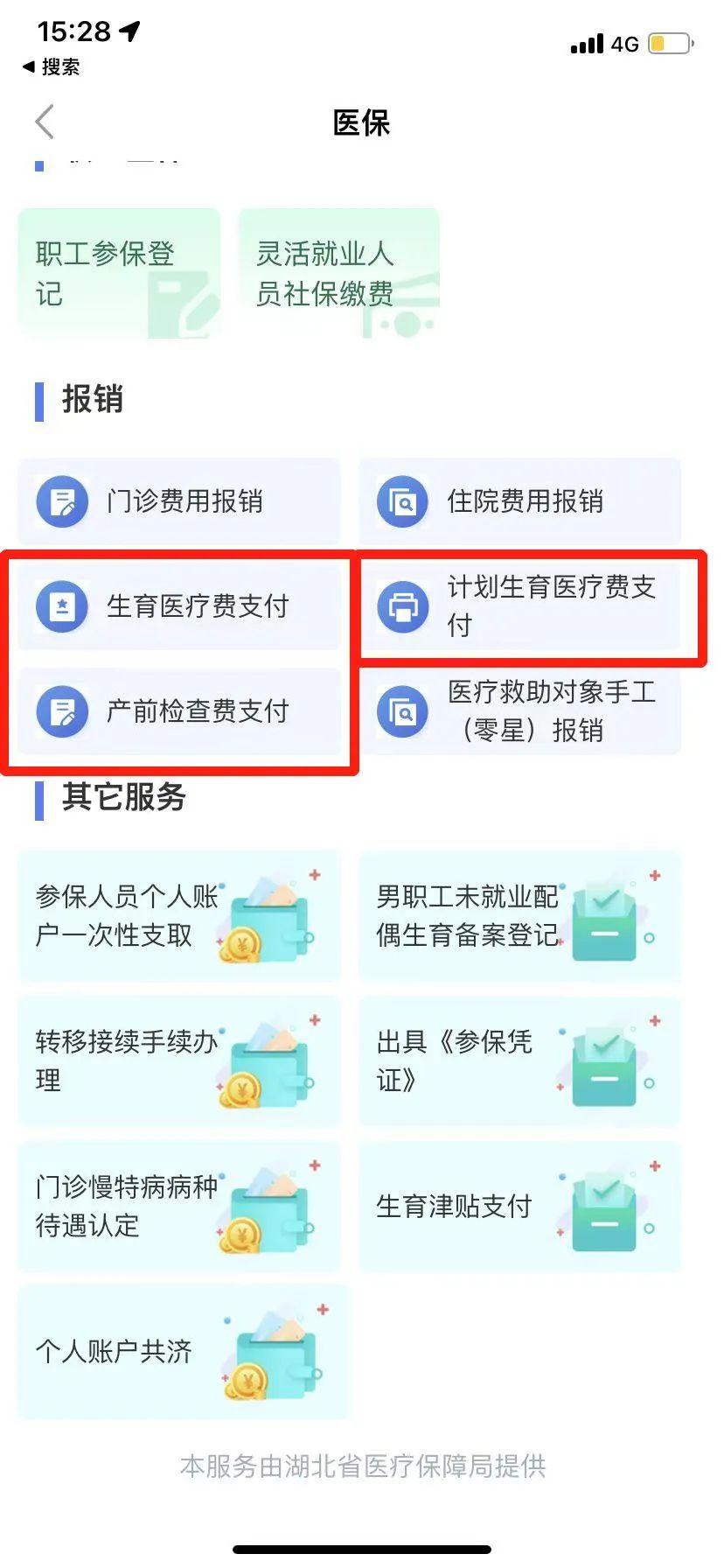 生育有哪些需要咨询的,网上申请生育登记还需要什么材料