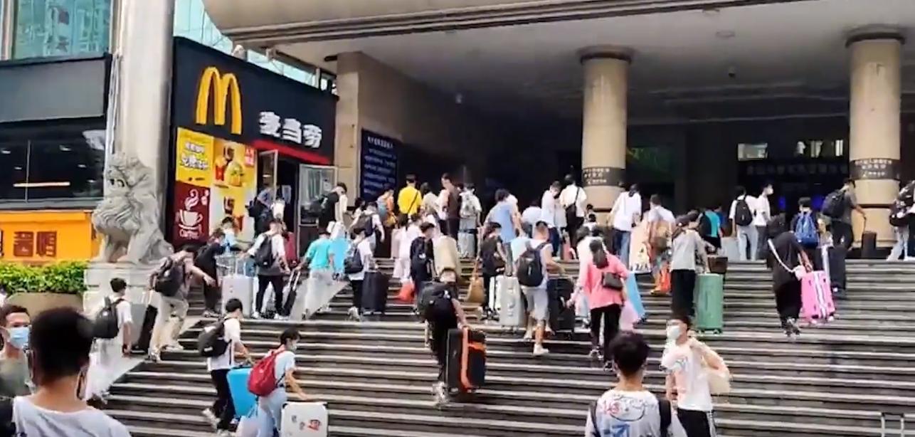 20年广东老太捡到一只“野猫”,越养越不对劲,专家看后立即报案