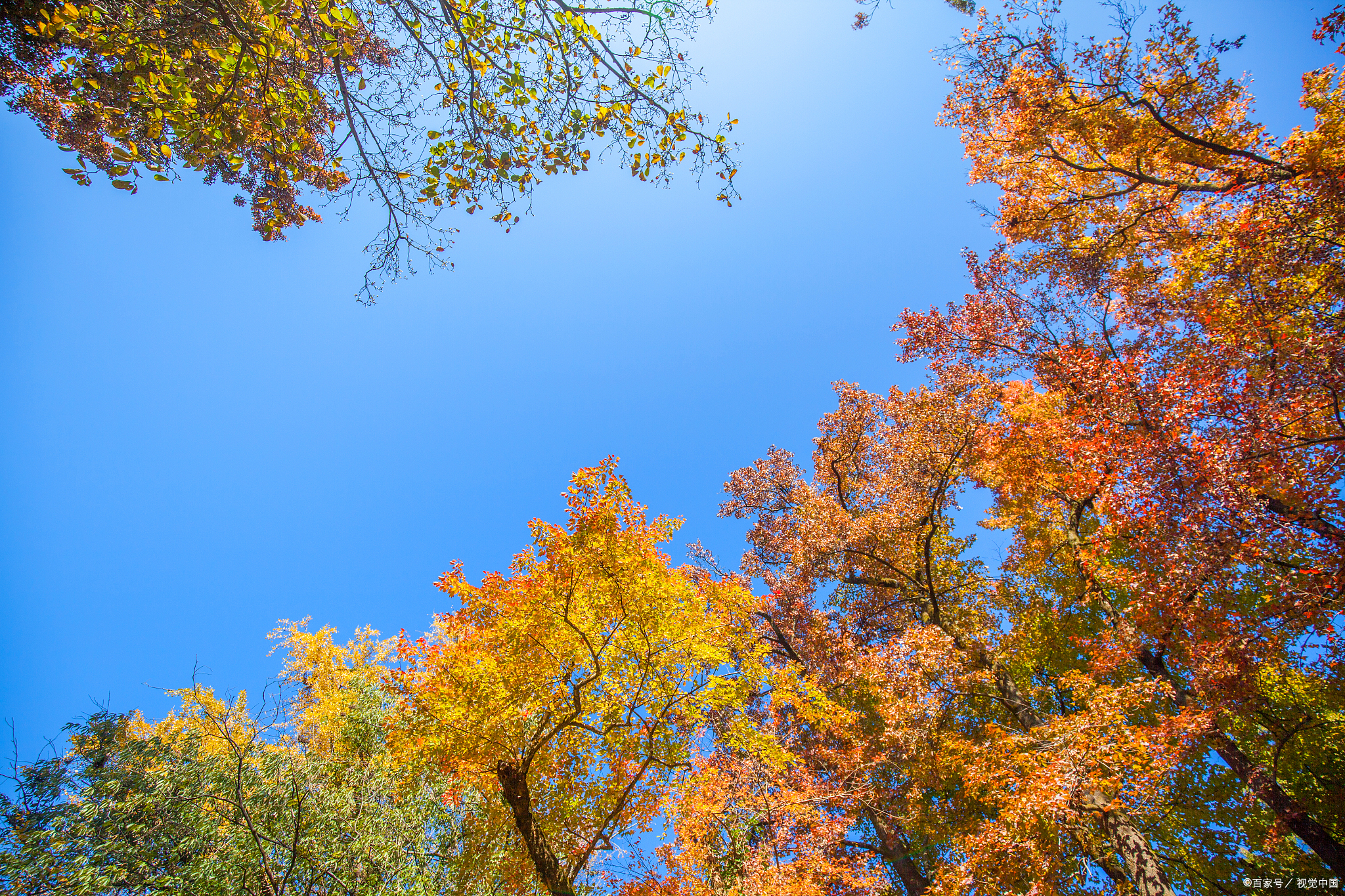 小说七十年代真夫妻,小说七十年代真夫妻全文免费阅读