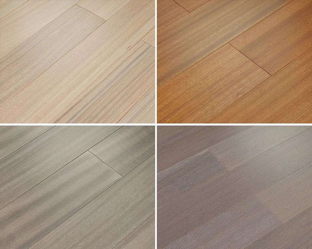 稳如磐石，非洲密林木中瑰宝“非洲柚木”——纽墩豆