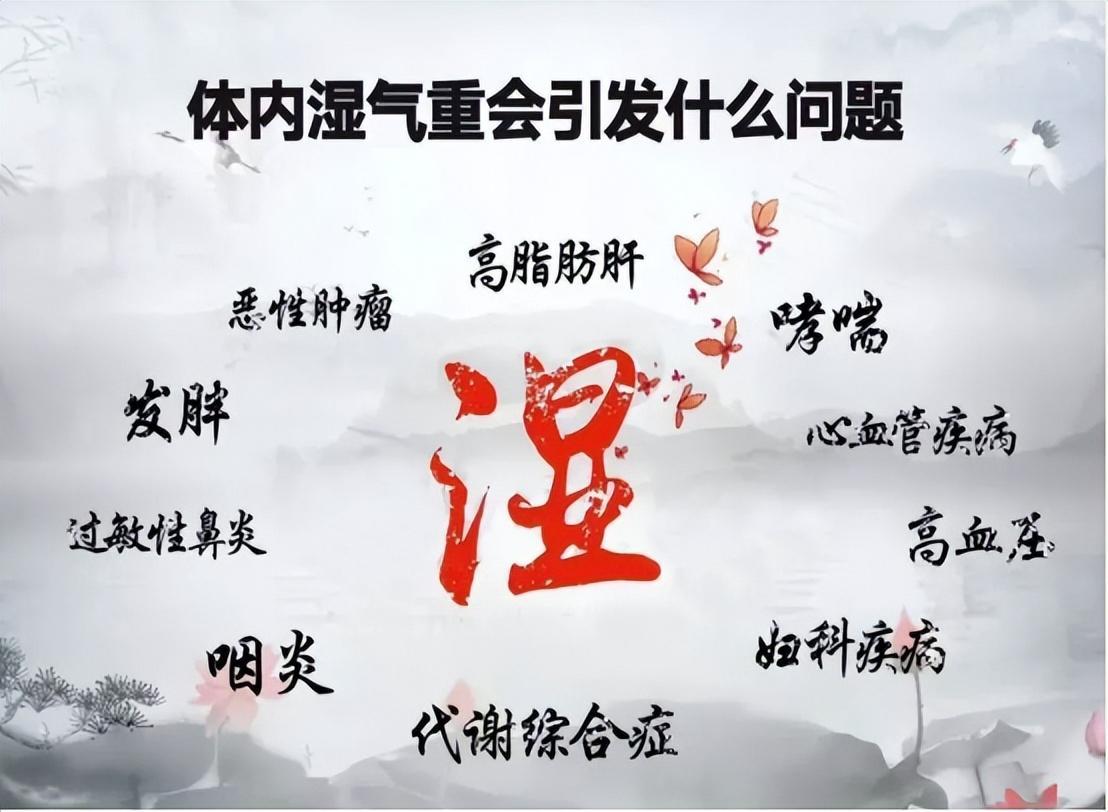 艾叶怎么祛除湿气效果好,艾叶怎么吃可以祛除身上的湿气