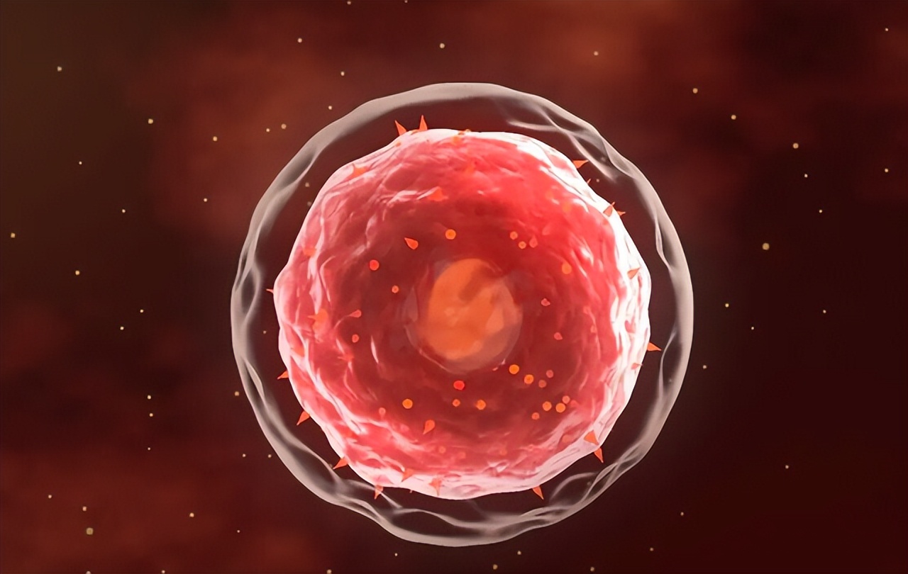 人兽真能杂交，日本批准“人兽杂交胚胎”实验，是福是祸？