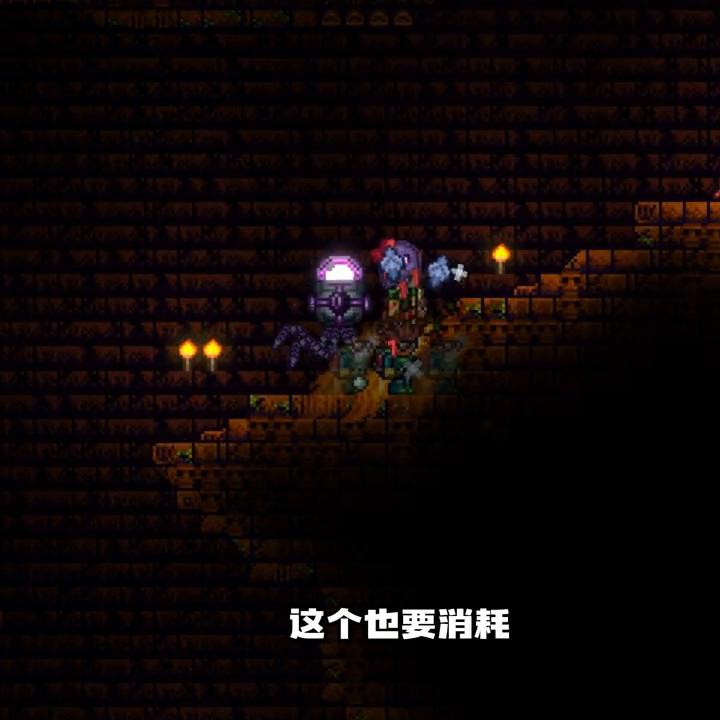 泰拉瑞亚小猪鲨,泰拉瑞亚暗影奥秘和灾厄哪个好