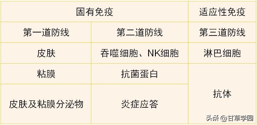 鐢樿崏瀛︽牎,鐢樿崏瀛﹀洯