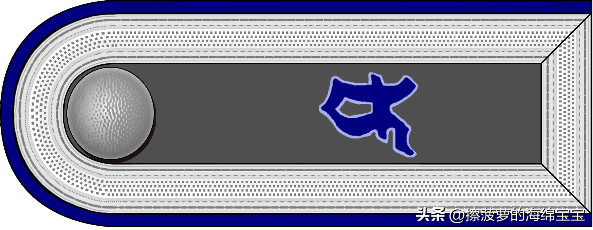 二战德国国防军医疗兵军衔标志