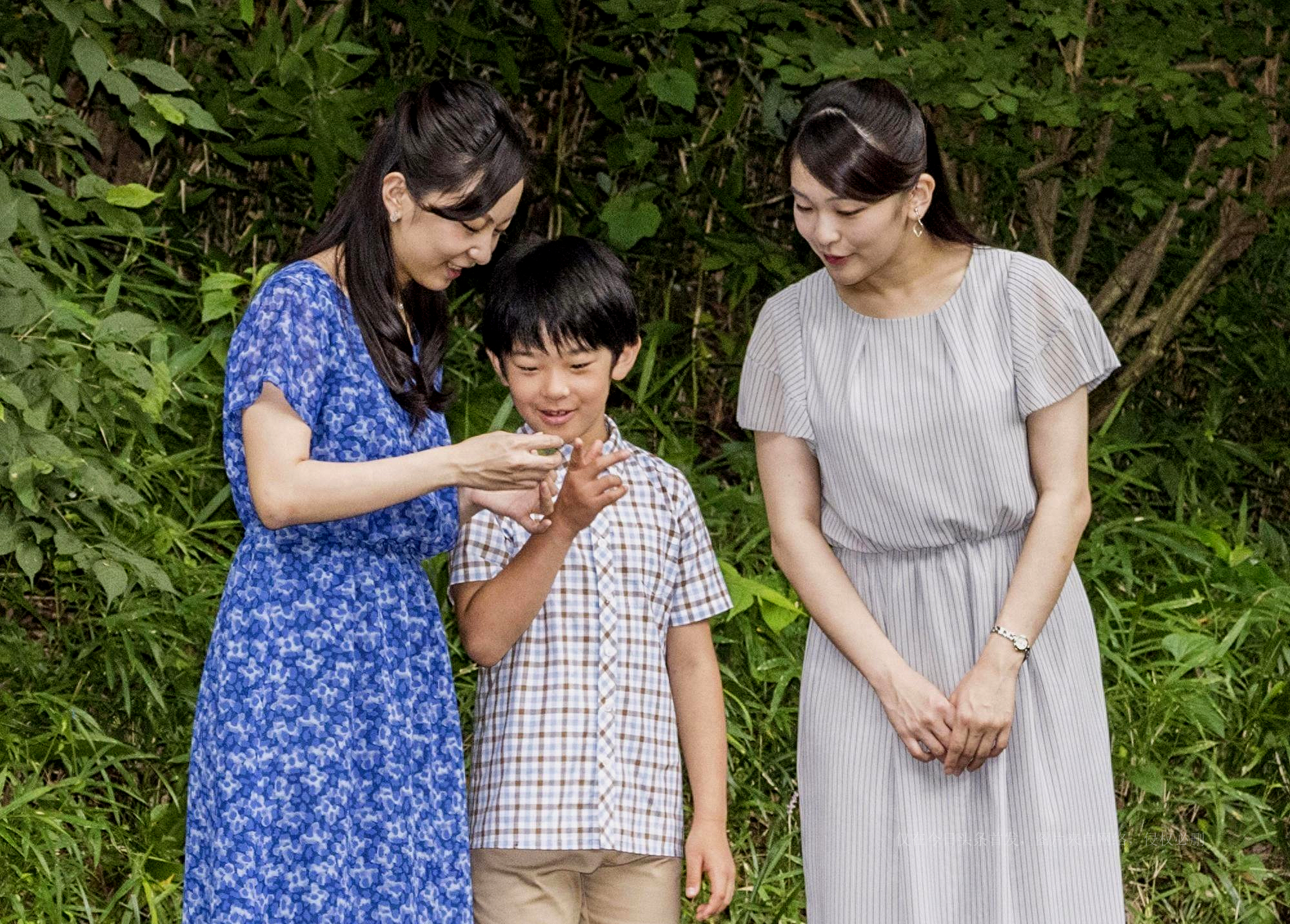 日本皇室绝嗣危机,日本皇族面临子嗣断绝的危机