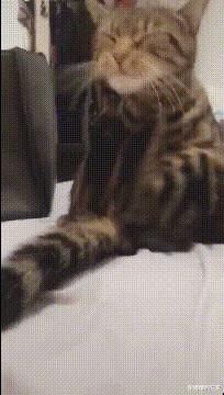 “你以为女生睡觉都是靠着男票？为你解锁更多姿势！”