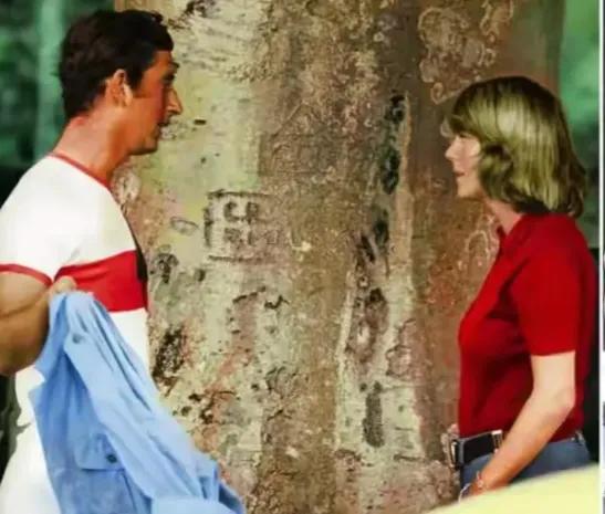 查尔斯：少年被人欺凌、等半个世纪才登基、加冕演唱邀请被人拒…