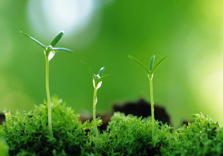 碳基生命与硅基生命对比视频,从碳基生命到硅基生命时间表