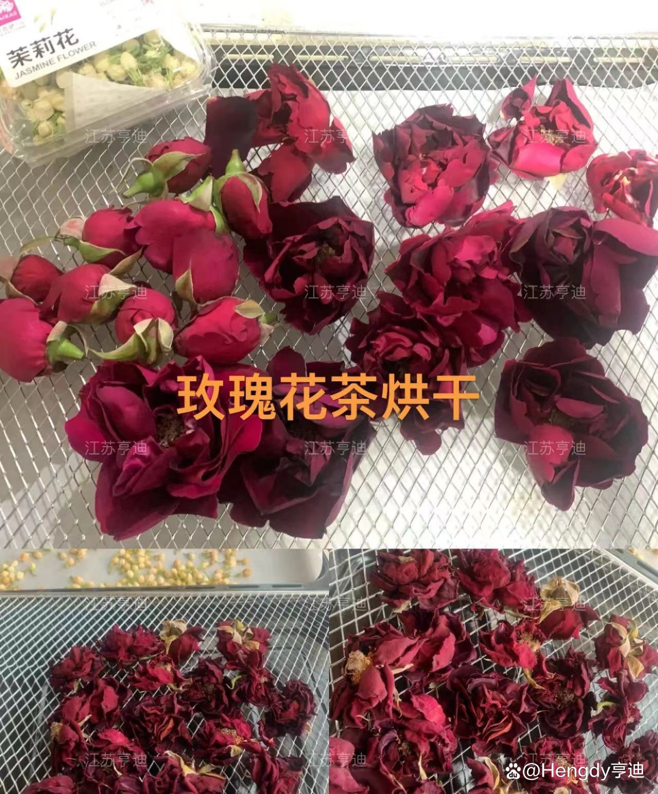 花茶烘干干燥设备——热风循环烘箱，让茶叶香气更持久