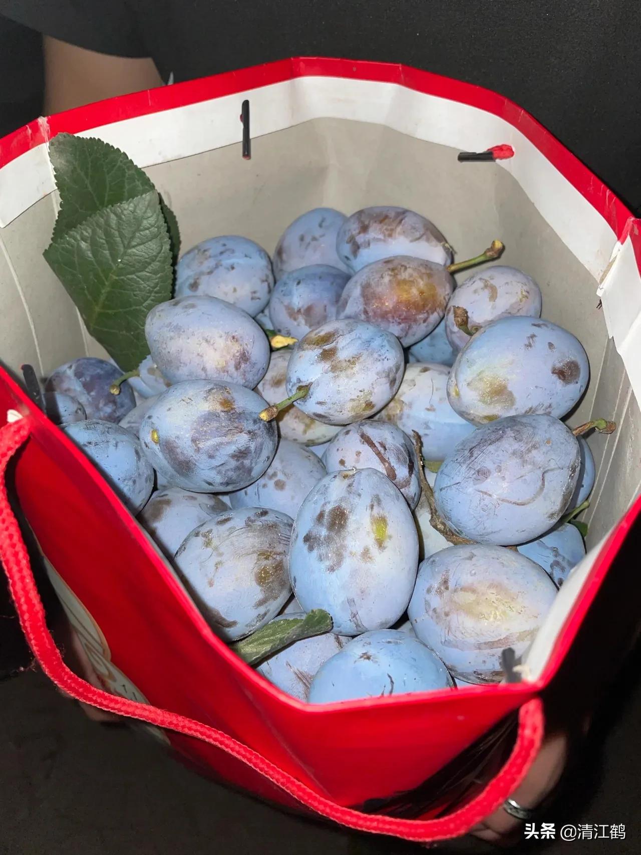 大生M45杀菌剂的作用？3类使用方法可精准防控病害，促进壮苗