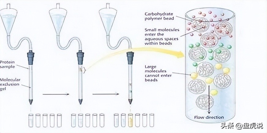 壳聚糖吸附铜离子,壳聚糖水凝胶吸附重金属