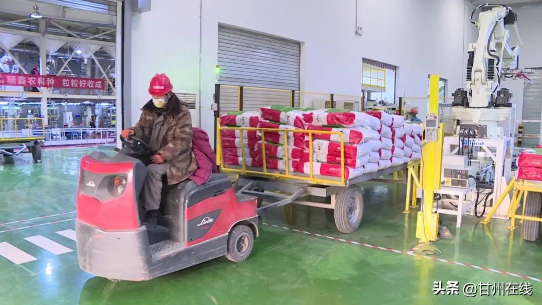 甘州区各制种企业开足马力忙生产