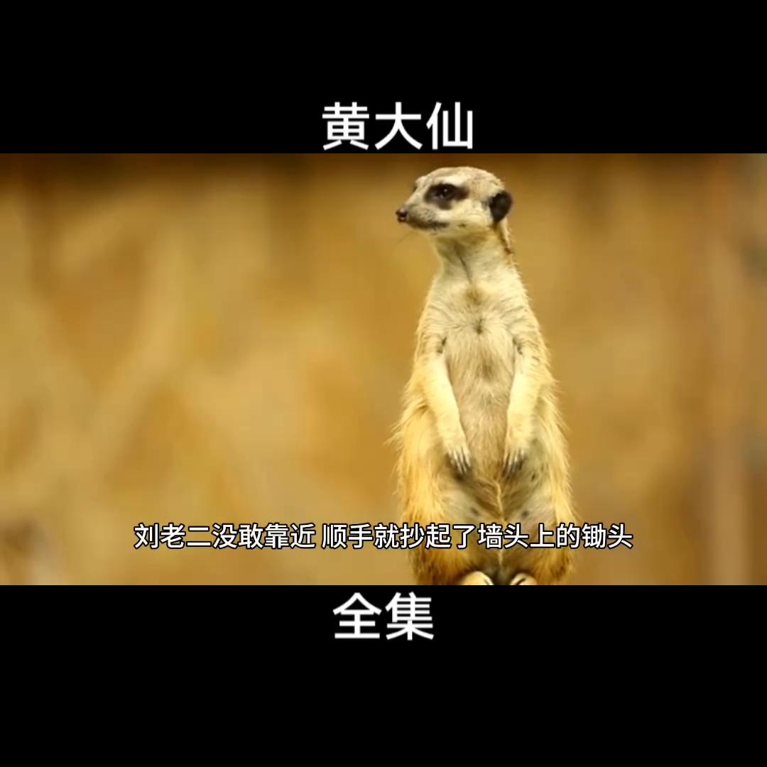 黄大仙奇闻异事全集,民间故事大全黄大仙免费听