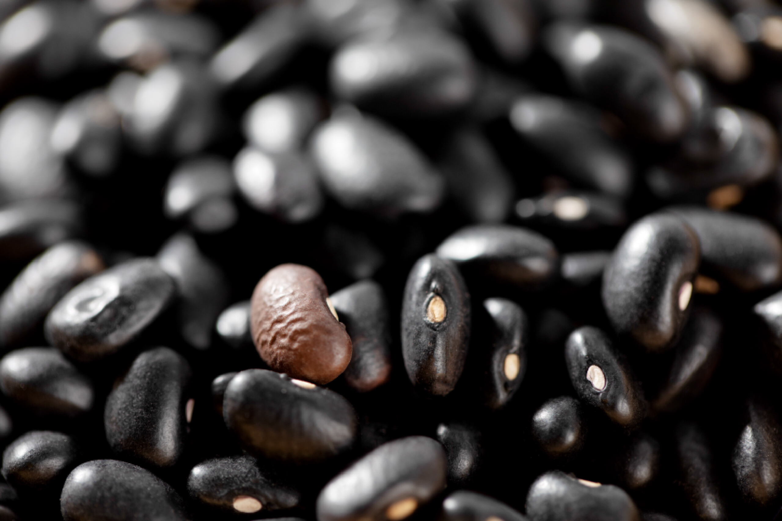 头发怎么养还能养成秀发,头发养护的八大秘诀记得收藏