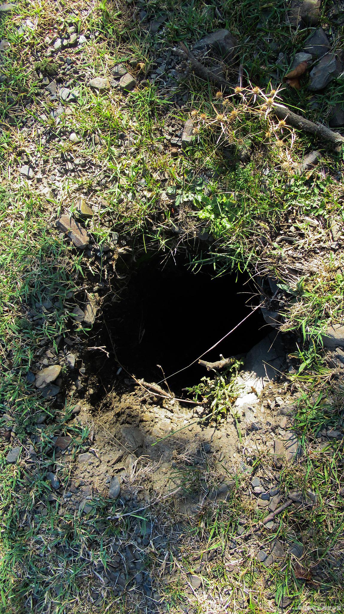 大巴车小女孩被烧伤事件,公交车被烧伤小女孩后续