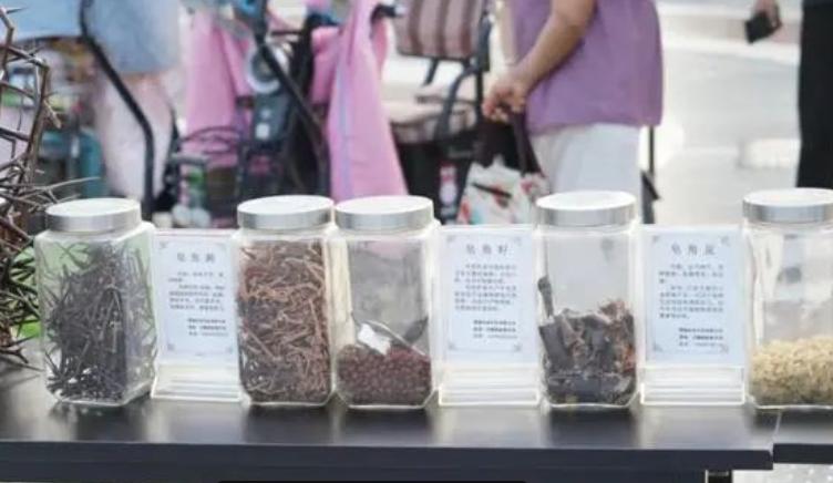 中医药文化夜市启动,中医药文化夜市预告