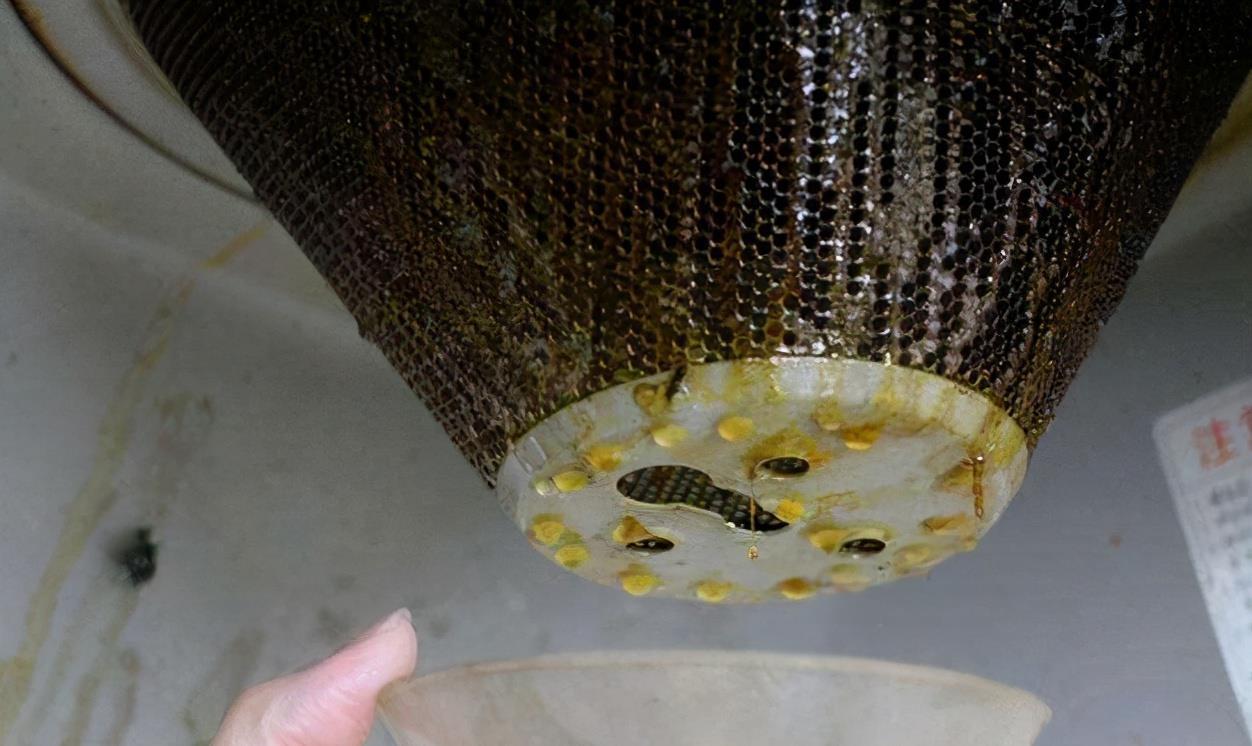 油烟机收集的废油大家怎么处理的,油烟机里的废油怎么处理可以浇花