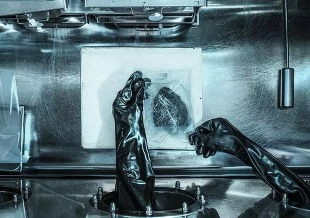 美国赠送的月岩被证实是假货,美国赠送给荷兰的月岩