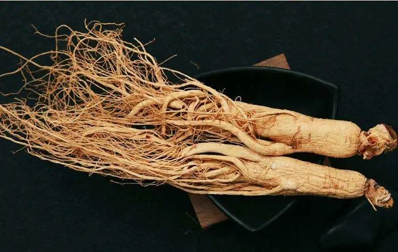 人参食补补肾,吃人参可以补肾虚吗