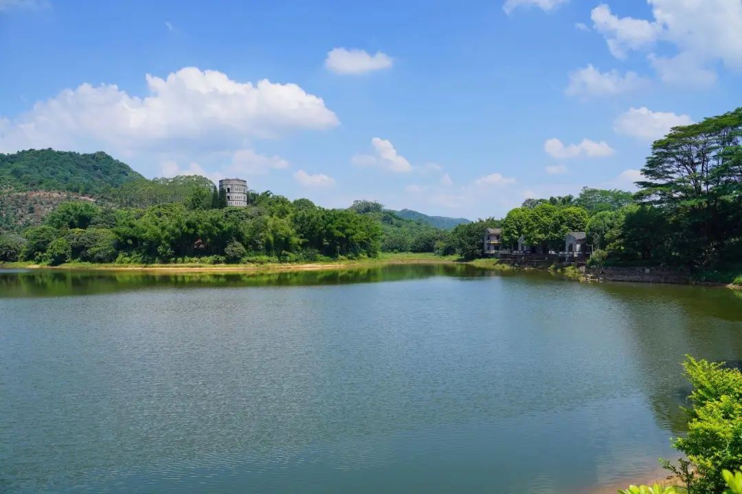 岭南景区民宿,岭南式民宿