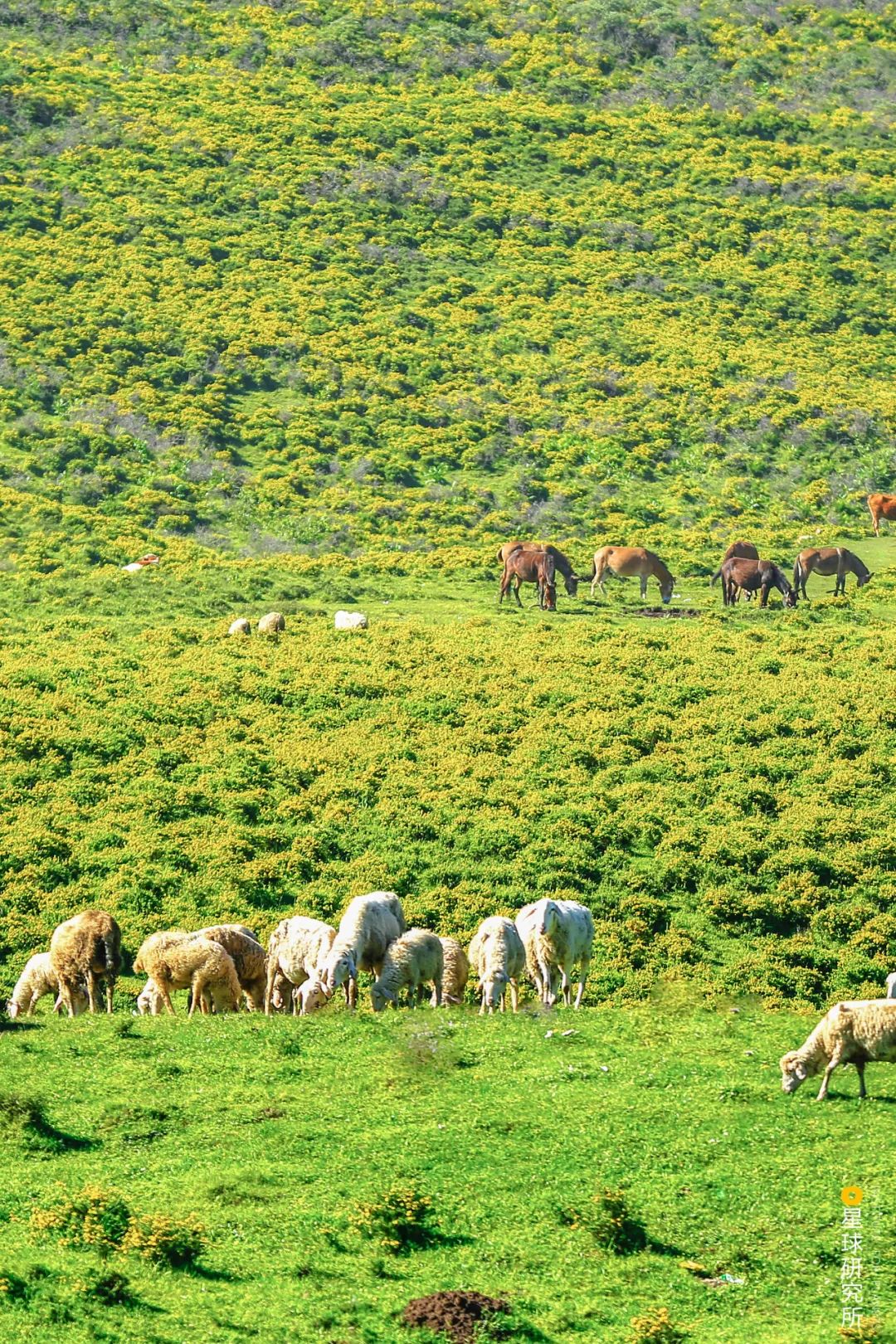 现在甘肃临夏的风景是真美,甘肃临夏有啥著名景点