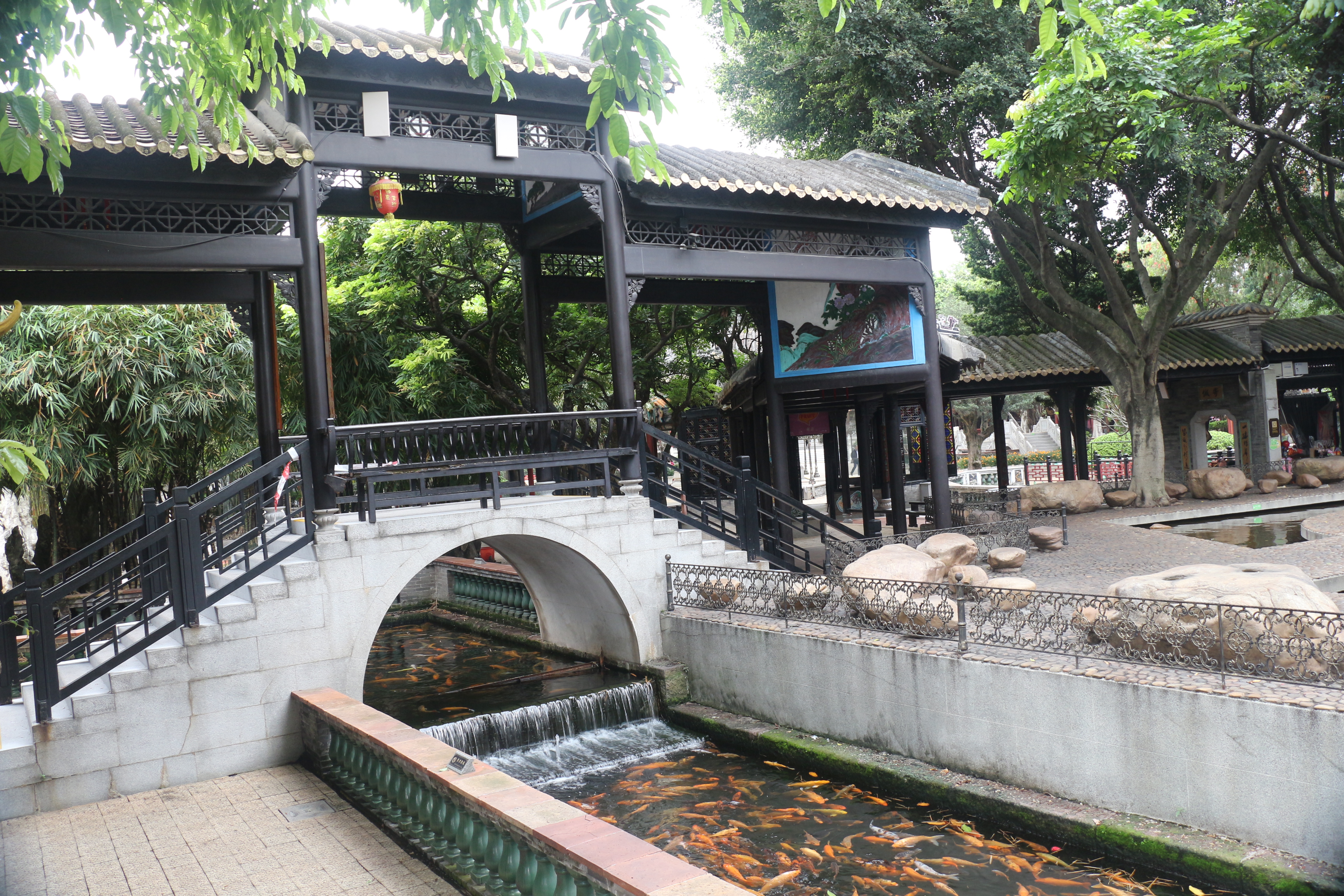 岭南文化之旅照片,岭南文化之旅在哪里