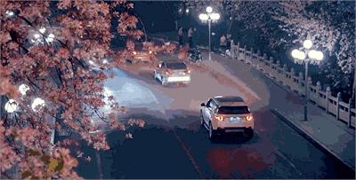 春天，我想到一座城，吃粉粉，看粉粉