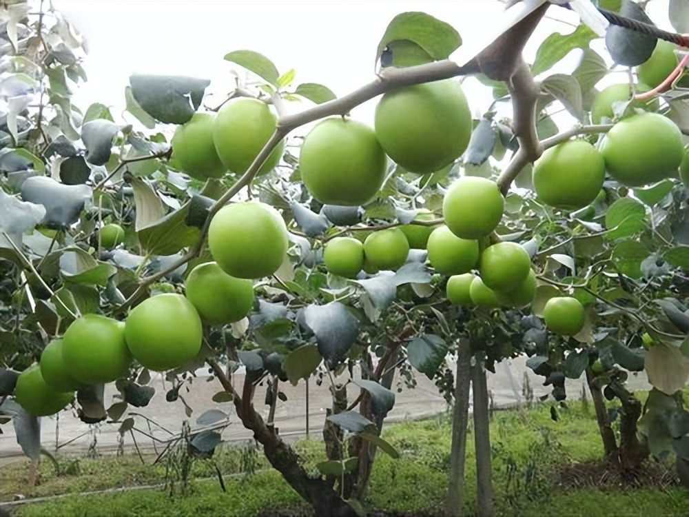 假如台湾回归祖国，中国会发生什么变化？网友：该我们卡他们脖子