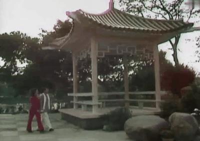 广东有百分之几人看春晚,广东人看春晚的多不多