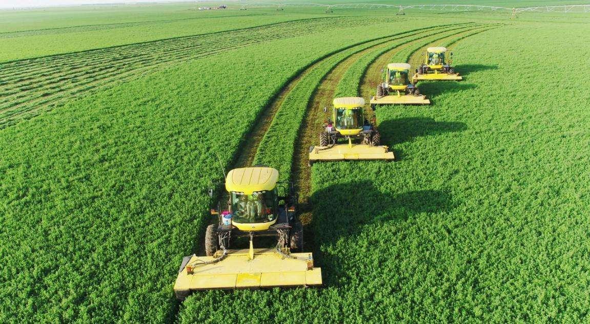 世界四大粮商之一：路易达孚进入中国50年，靠卖大豆每年“躺赚”