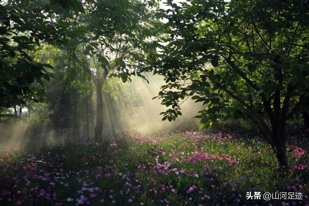 日照之处皆为华夏之疆域,日照即将开发的古城